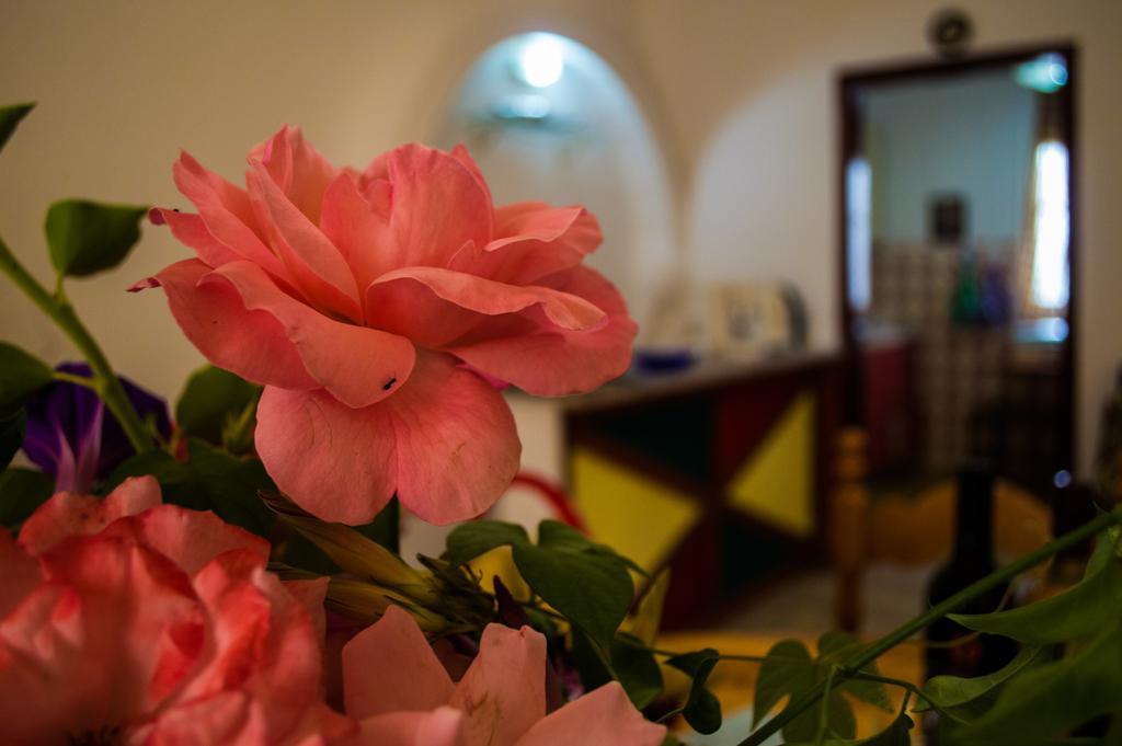 Agathi Beach House Agios Gordios  Zewnętrze zdjęcie